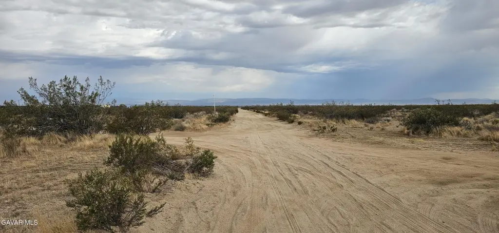 Picture 4