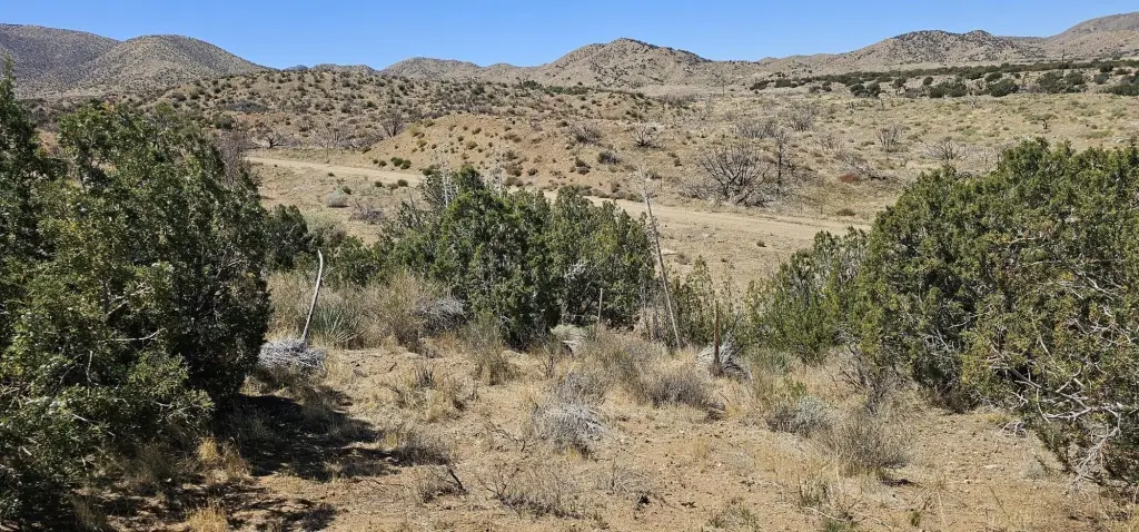 Picture 14