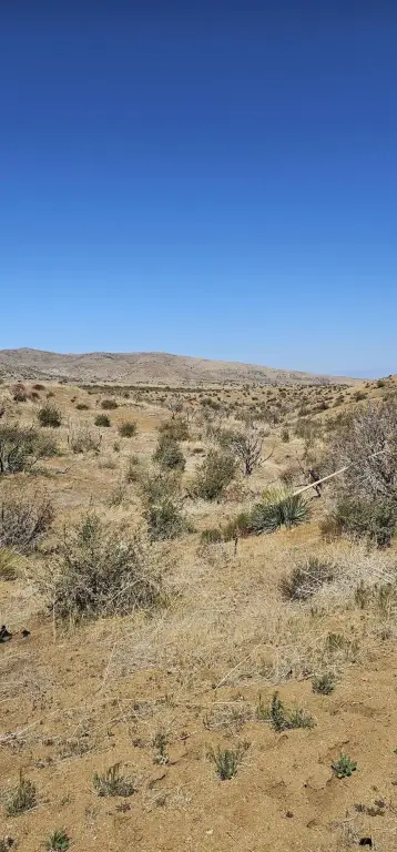 Picture 4