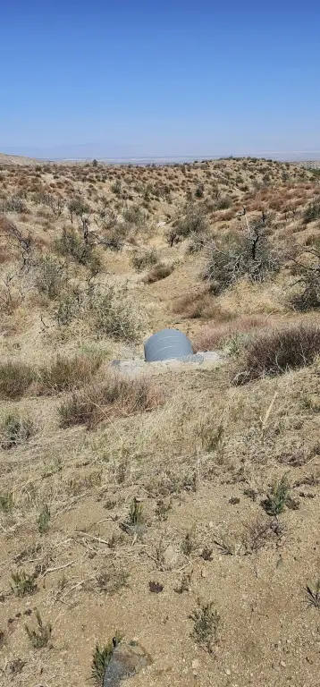 Picture 8