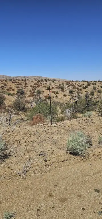 Picture 10