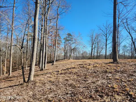 Buildable Lot Near Norris Lake