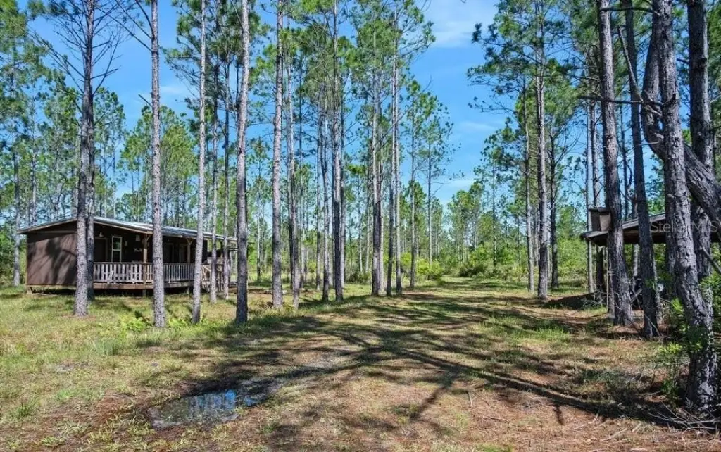 Picture 19
