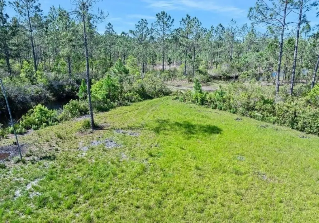 Picture 25