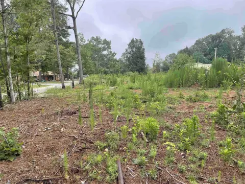Cleared Residential Lot in Chesnee
