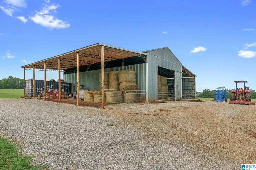 Picture 17
