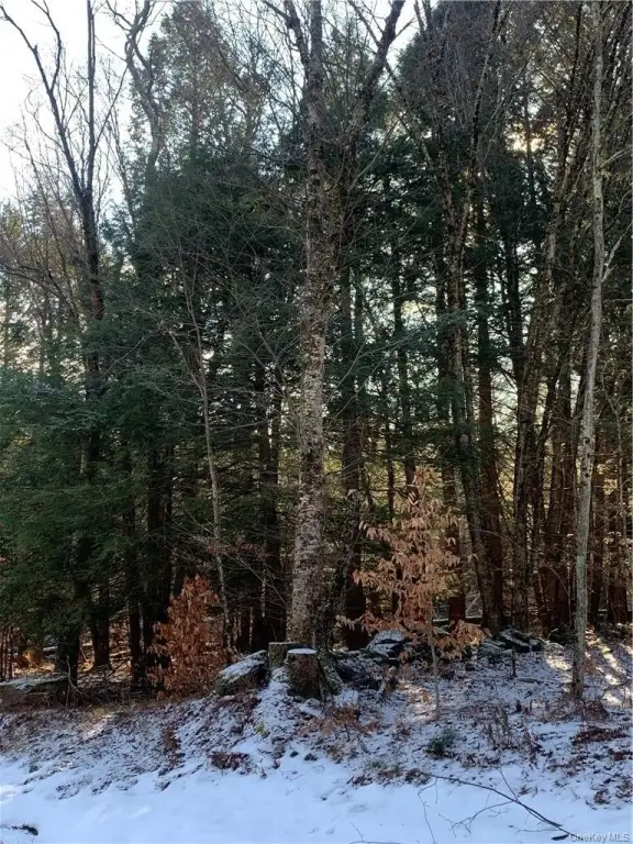 Picture 4