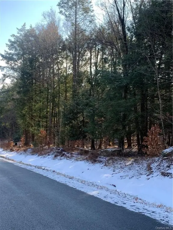 Picture 5