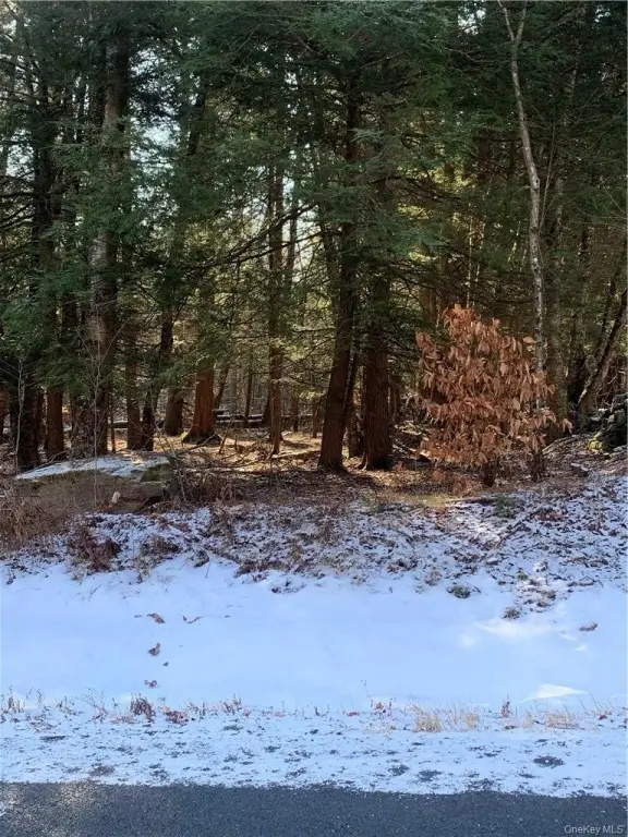 Picture 6