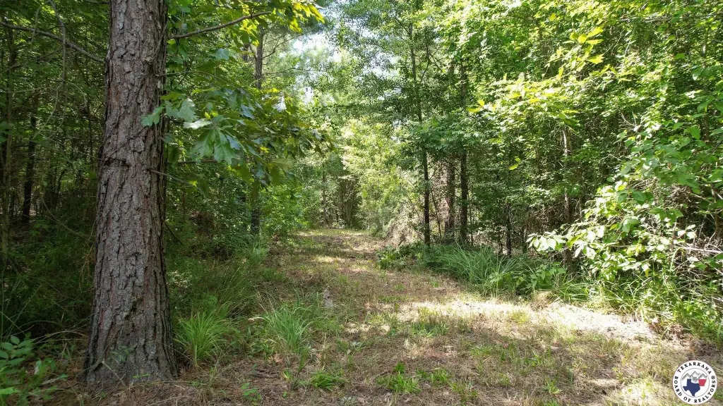 Picture 24