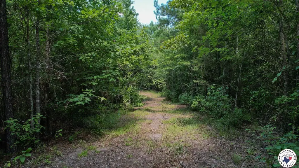 Picture 8