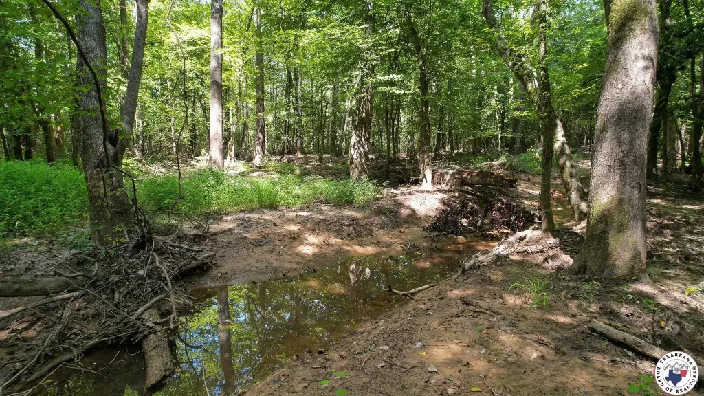 Picture 28
