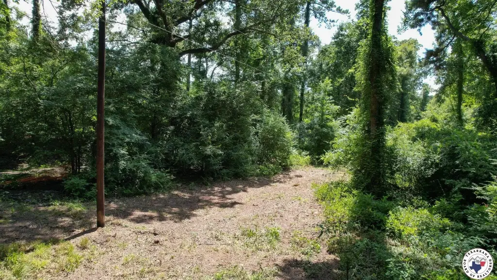 Picture 19