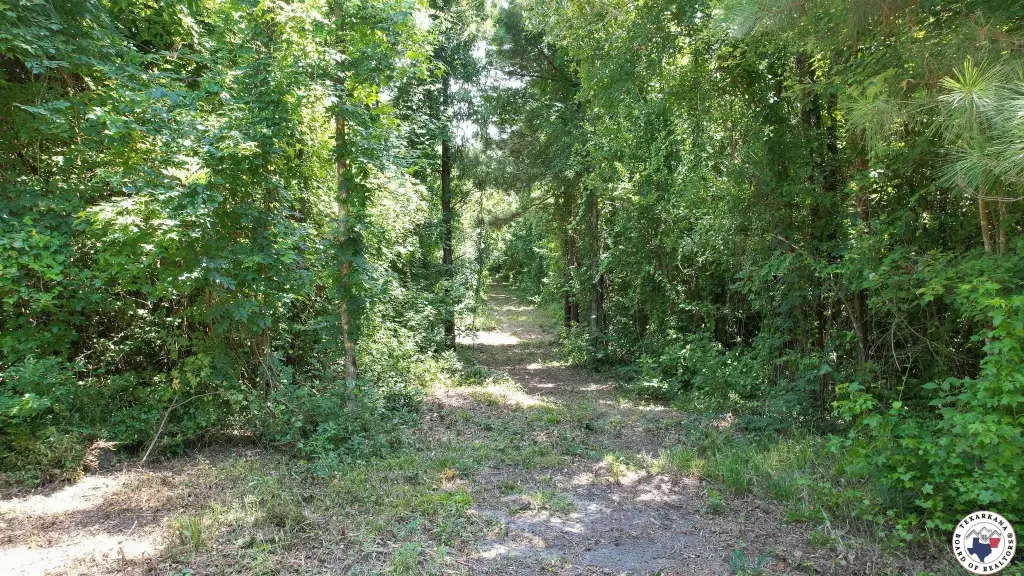 Picture 12