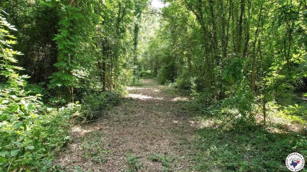 Picture 18