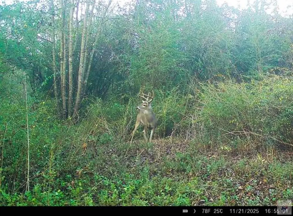 Picture 2