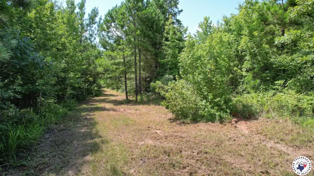 Picture 16