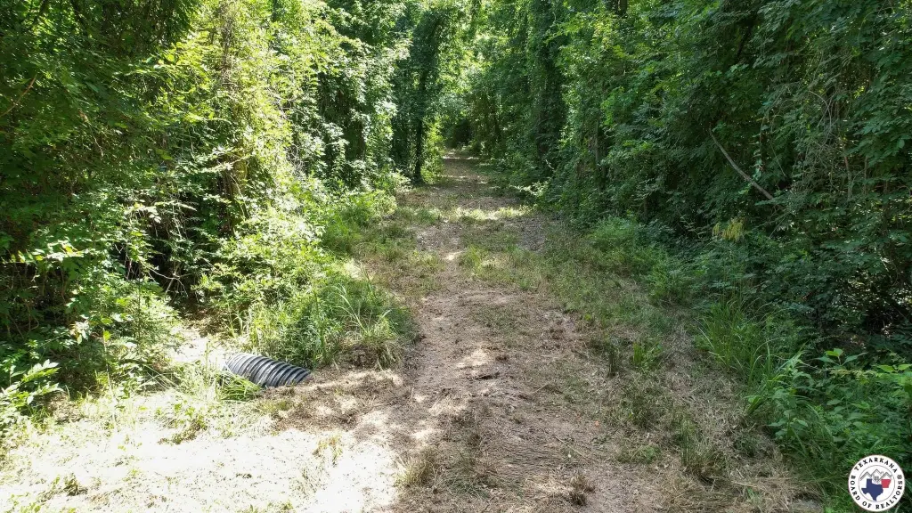 Picture 17