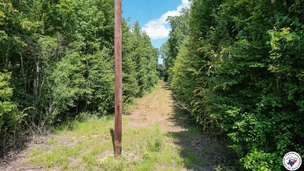 Picture 21