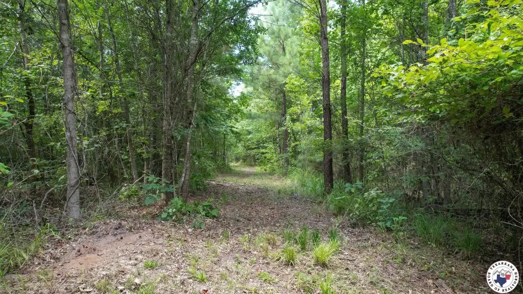 Picture 25