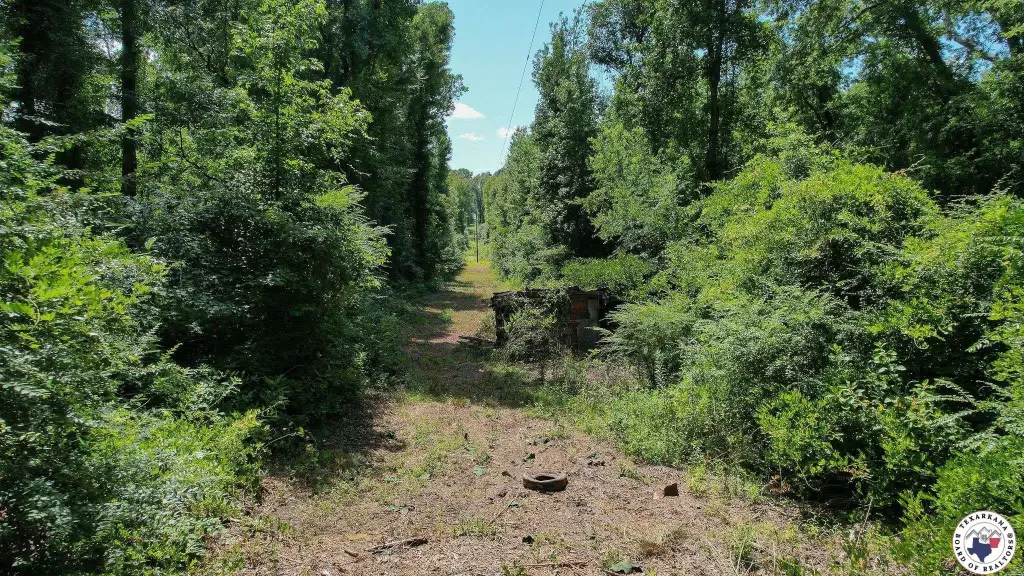 Picture 20