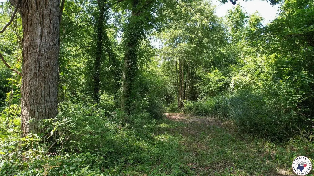 Picture 22