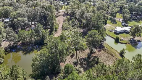 Holden, LA Unrestricted Land