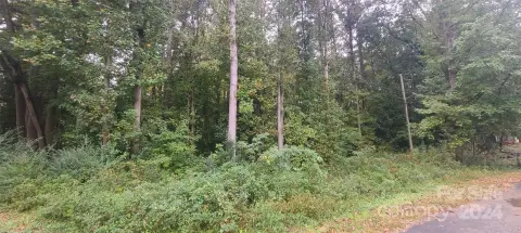 Residential Lot in Troy, NC