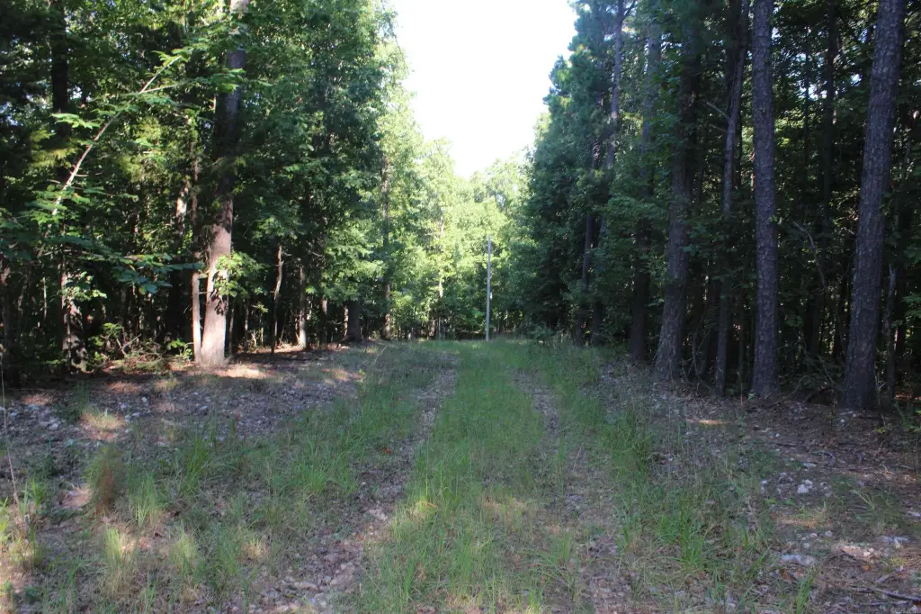 Picture 9
