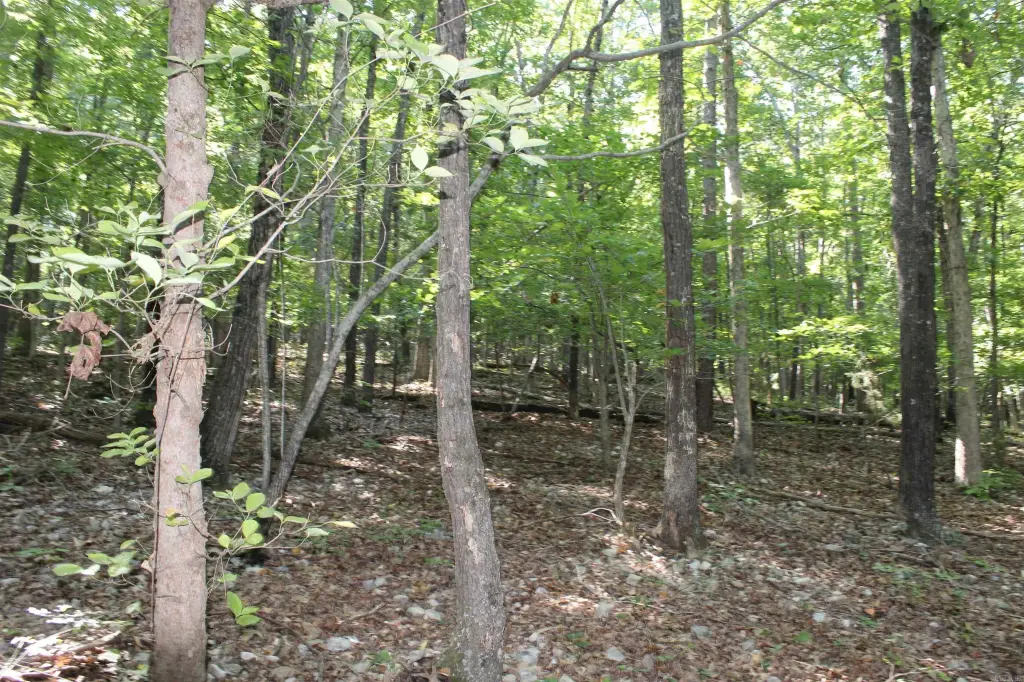 Picture 21