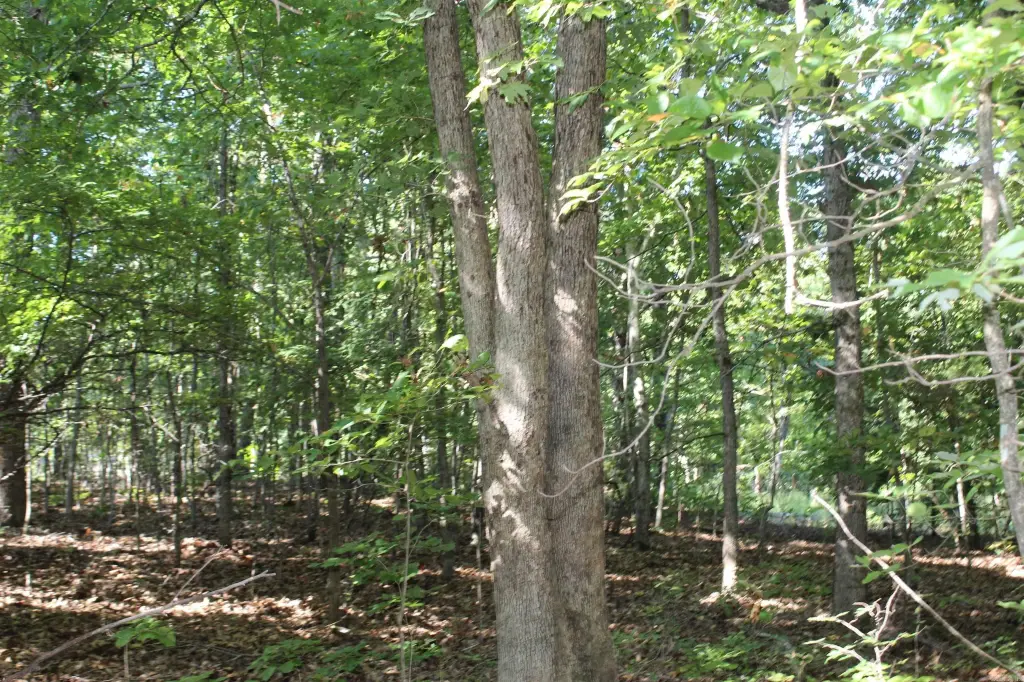 Picture 29