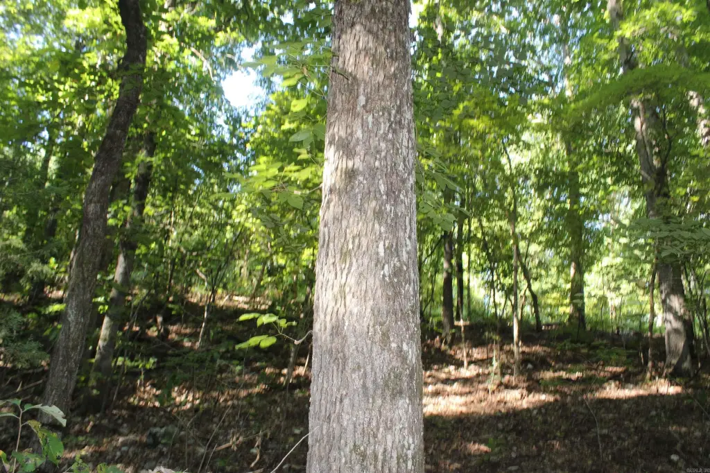 Picture 16