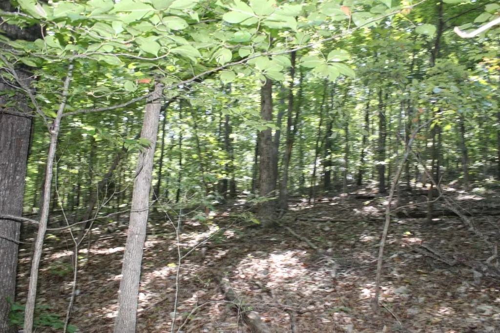 Picture 25