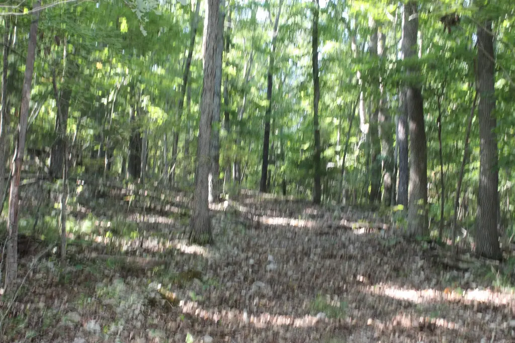 Picture 27