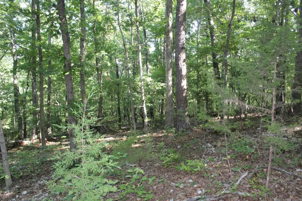 Picture 23