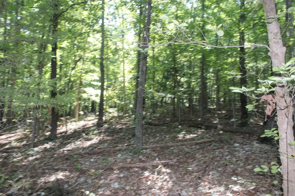 Picture 22