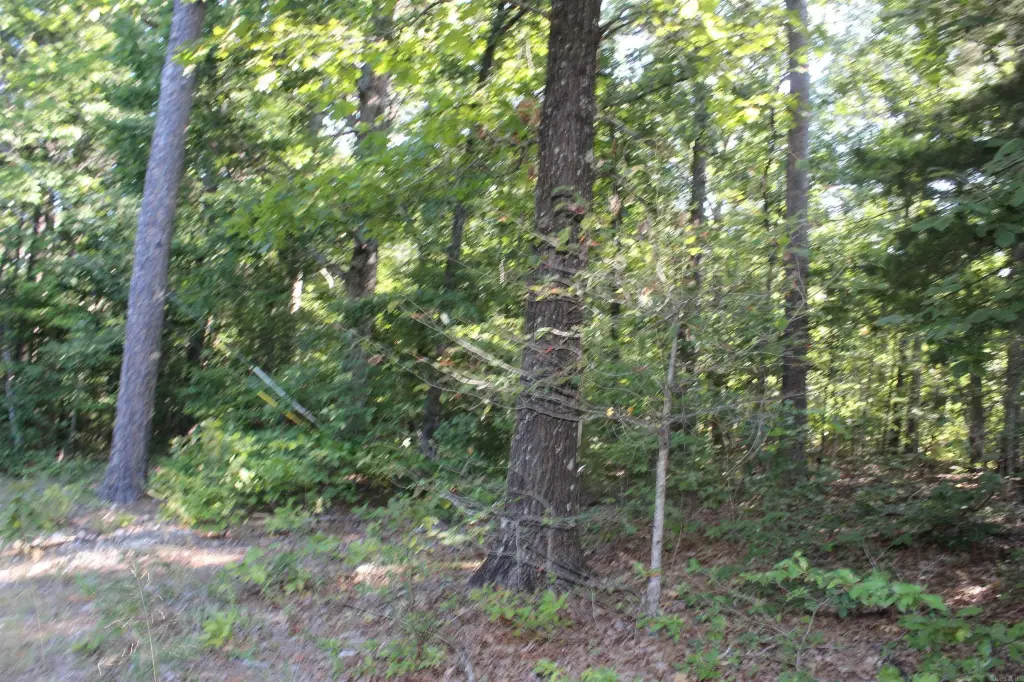 Picture 8