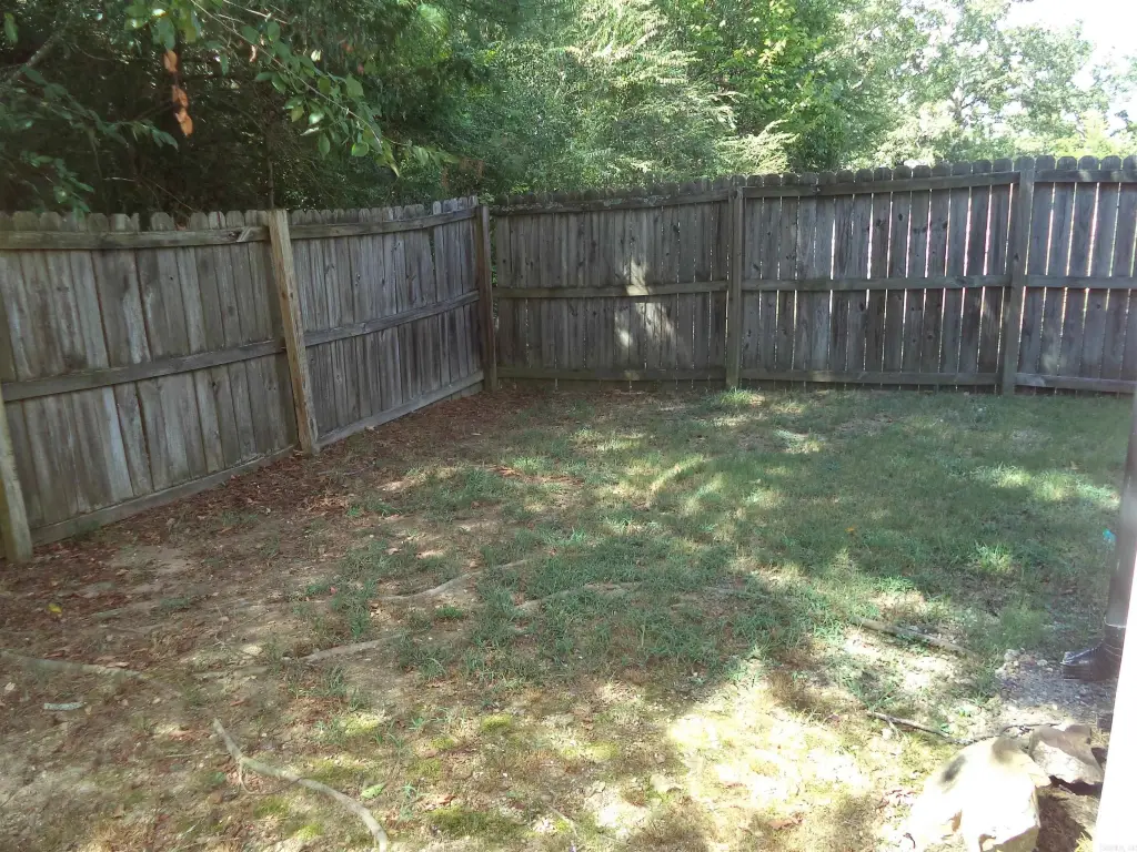 Picture 12