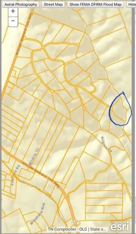 Picture 4