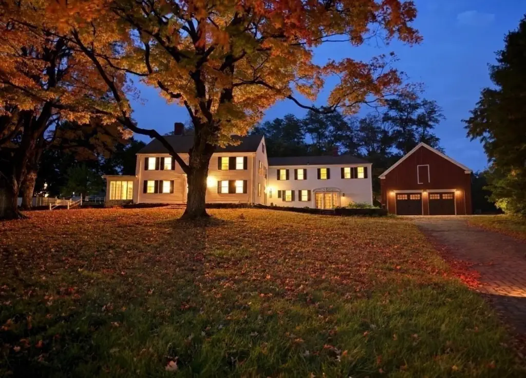 Picture 6
