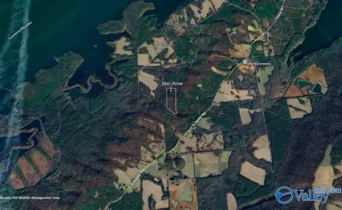 Langston, AL Hunting Land