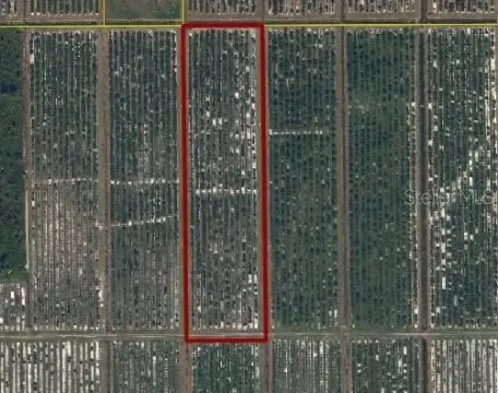 Ten Acres of Grove Land