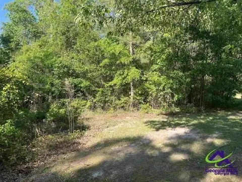 Wooded Land Tract