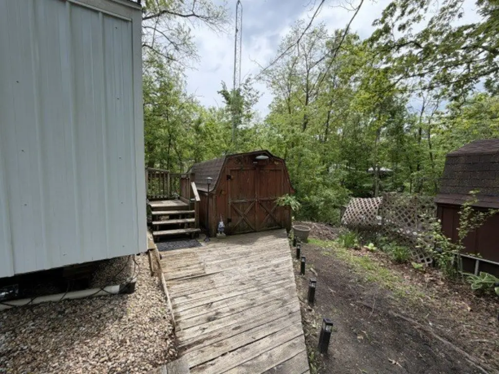 Picture 21