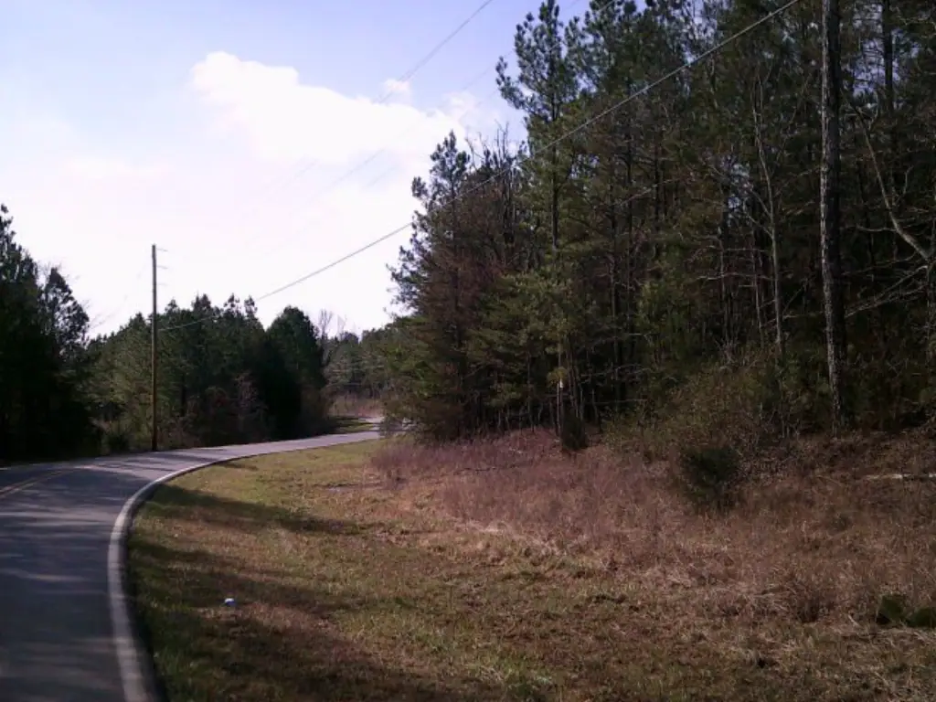 Picture 4