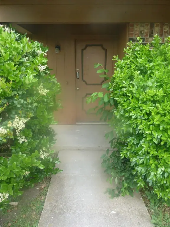 Picture 29