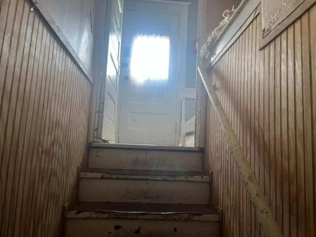 Picture 6