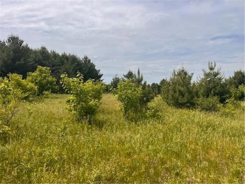 Picture 16