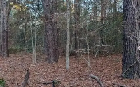 Wadmalaw Island Commercial Land Opportunity