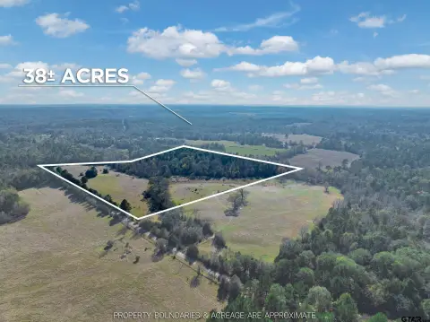 38 Acres Near Palestine, TX